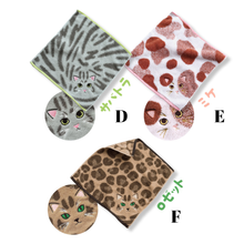 將圖片載入圖庫檢視器 (2條優惠) 今治My Kitty手巾仔
