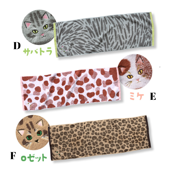 今治My Kitty面巾