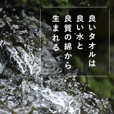 「sensui Yu系列」抗菌防臭檜木萃取精梳棉毛巾
