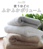 <試用價> 酒店精梳純棉毛巾 浴巾