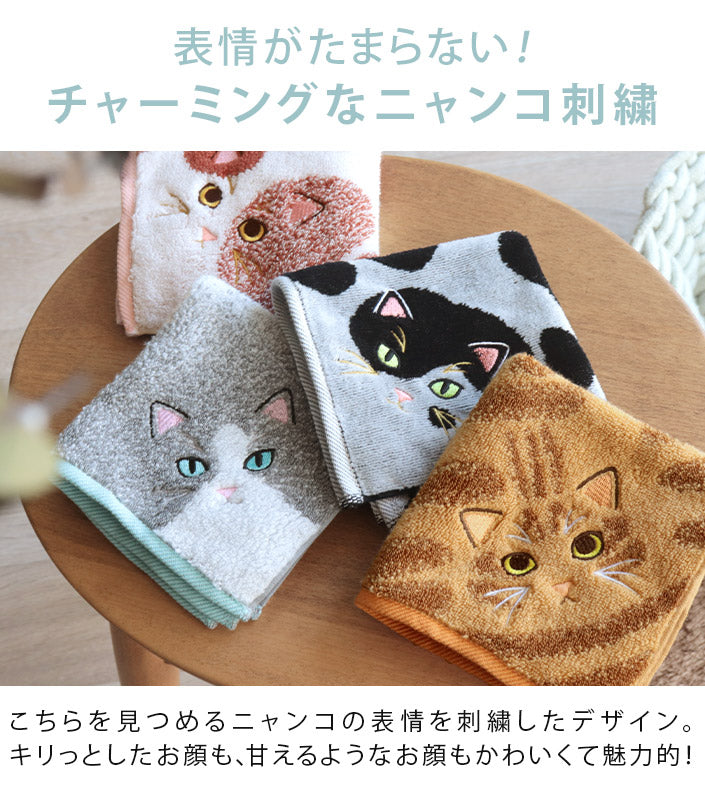 <2條優惠> 今治My Kitty手巾仔