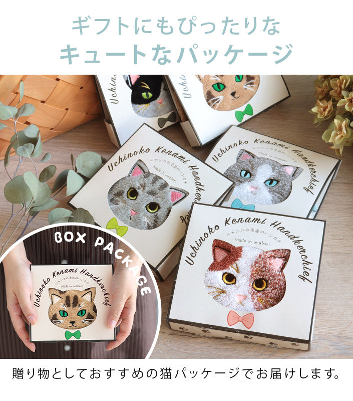 <2條優惠> 今治My Kitty手巾仔