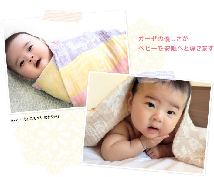 二重紗紗巾／包被